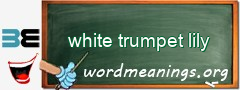 WordMeaning blackboard for white trumpet lily